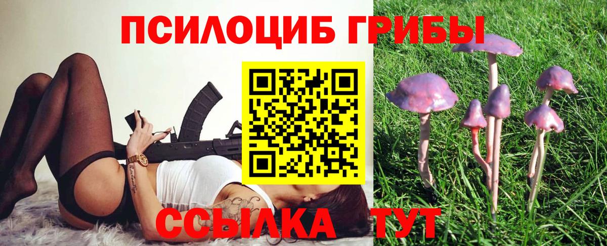 Псилоцибиновые грибы мухоморы Коряжма